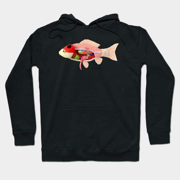 Anatomy of Nishiki-Koi Fish #2 Hoodie by hinem